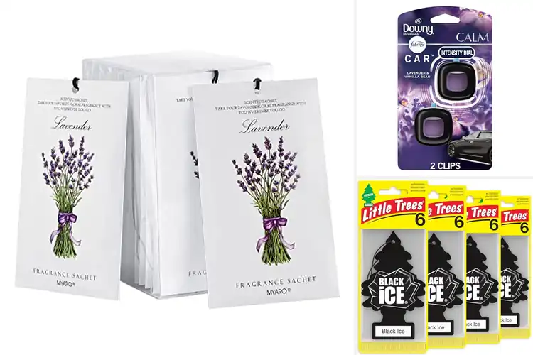 Detailed view of Best Car Air Fresheners: Top 10 Picks for a Fresh Ride