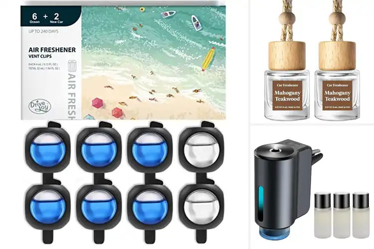 Detailed view of Best Car Perfumes