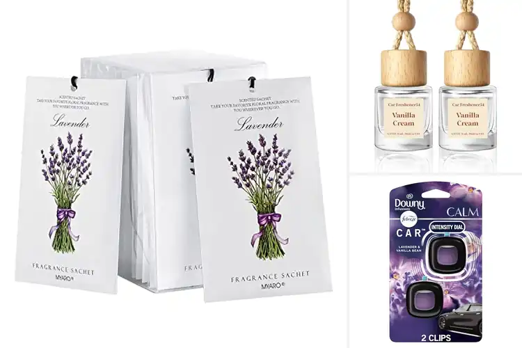 Detailed view of Best Car Scents: Elevate Your Drive with Lasting Freshness