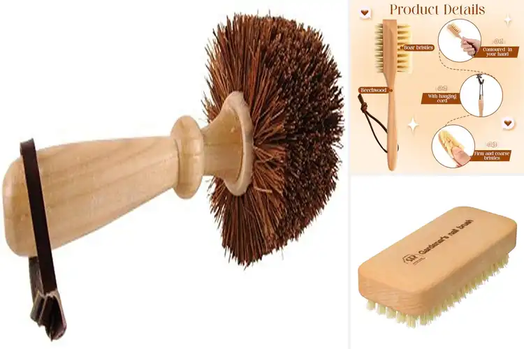 Detailed view of Best Gardeners Brushes