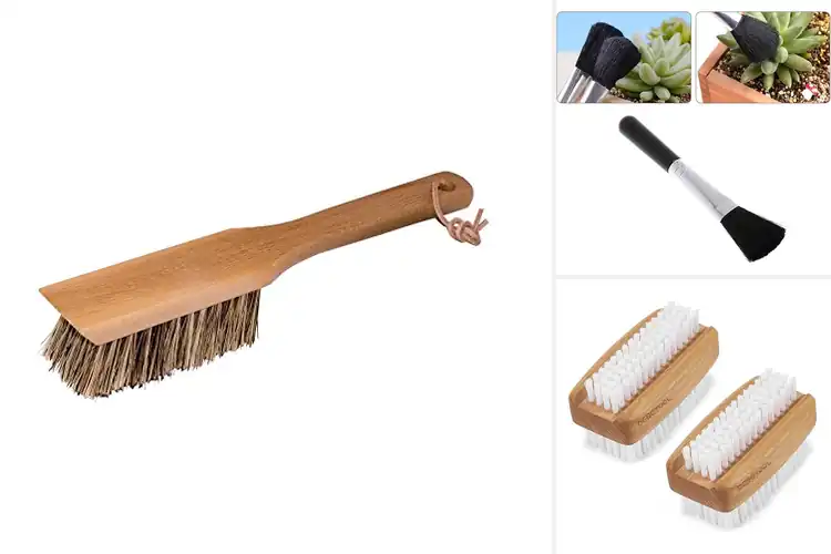 Detailed view of Best Gardening Brushes