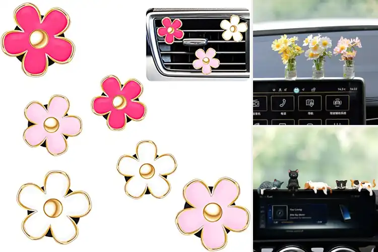 Detailed view of Best Interior Decor For Cars