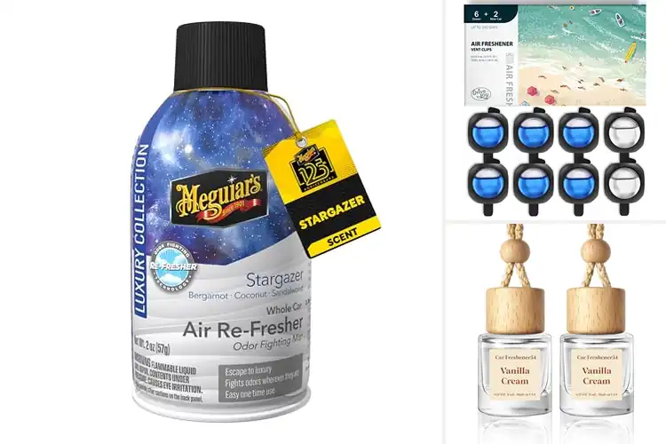 Detailed view of Best Long Lasting Car Air Freshener 3 Months