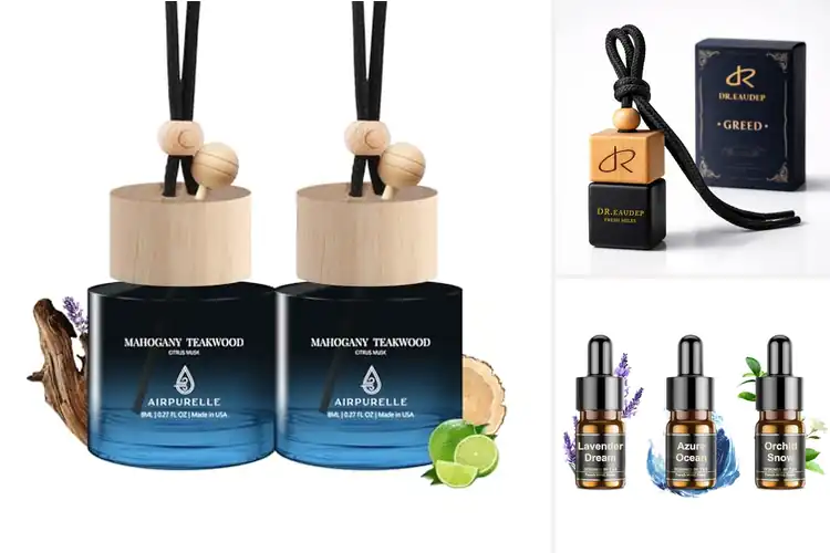 Detailed view of Best Long Lasting Car Fragrance 3 Months