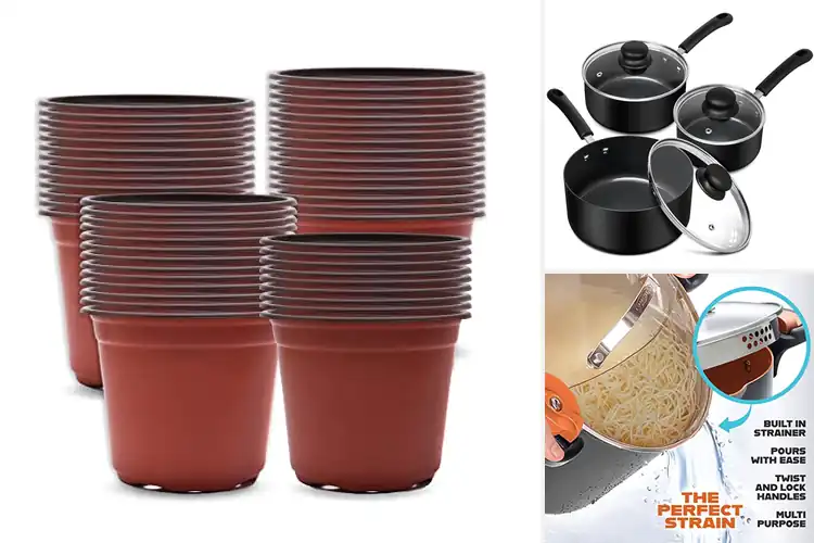 Detailed view of Best Multi Purpose Pots: 10 Space-Saving Kitchen Essentials