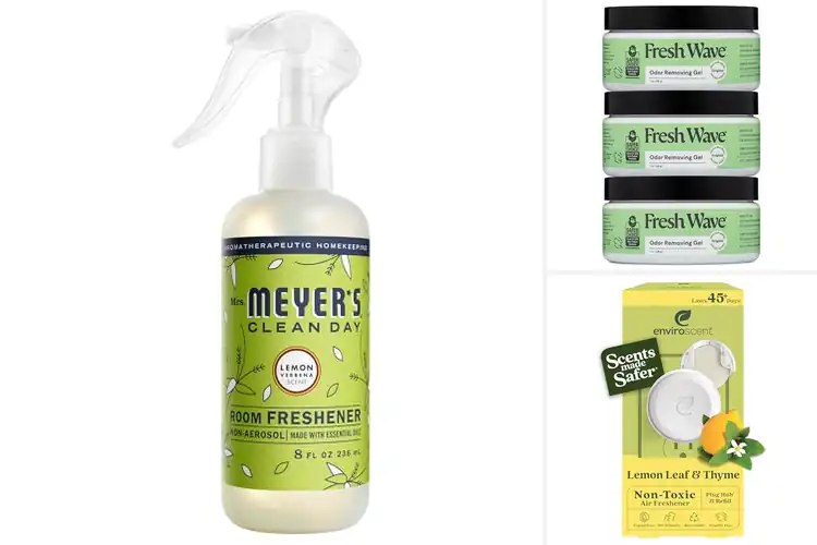 Detailed view of Best Natural Air Fresheners
