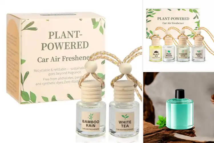 Detailed view of Best Natural Plant Based Car Oils