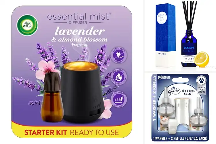 Detailed view of Best Odor Eliminator Diffuser: Top 10 Picks for a Fresh Home