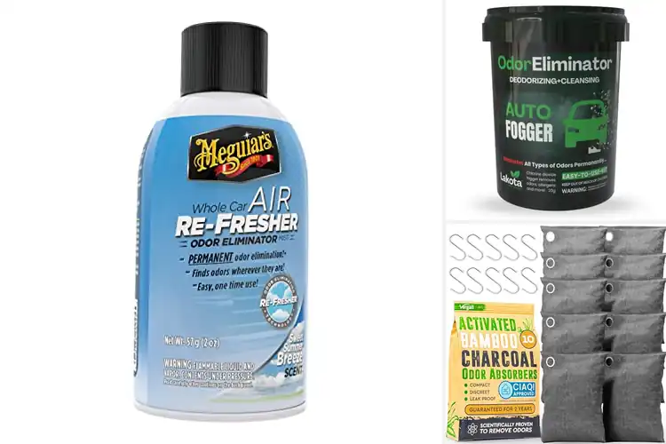 Detailed view of Best Odor Eliminators For Cars