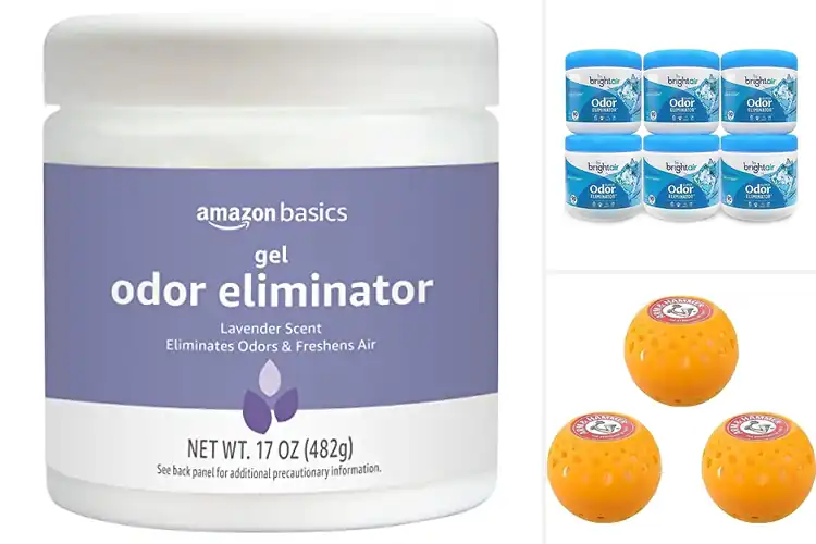 Detailed view of Best Odor Eliminators