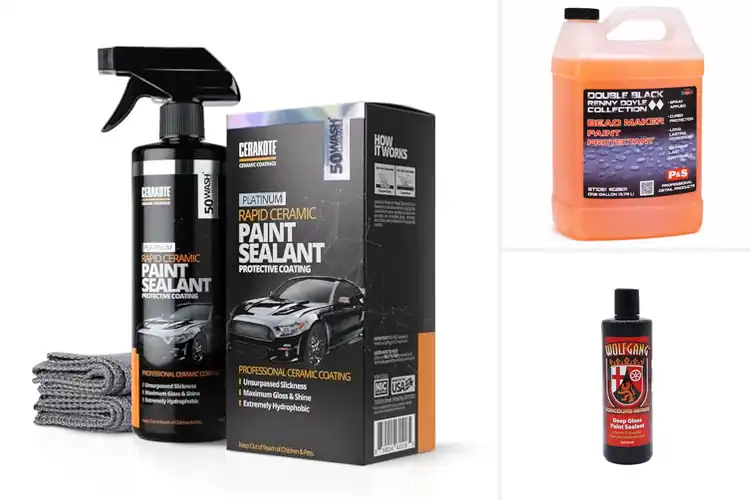 Detailed view of Best Paint Sealants