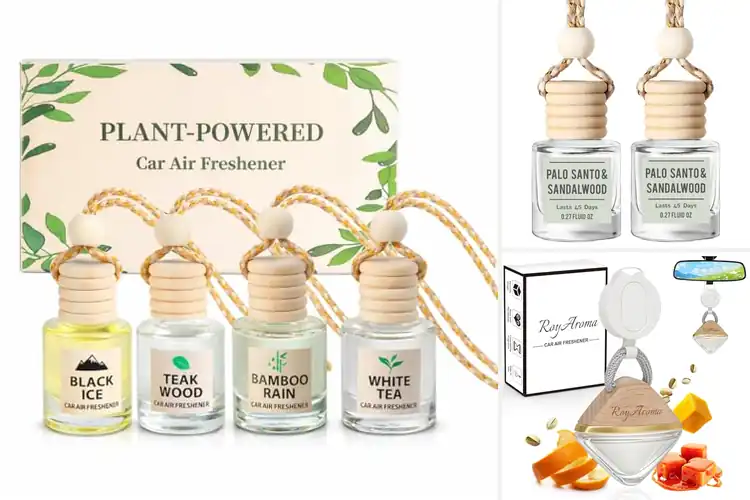 Detailed view of Best Plant Based Car Diffuser Ingredients