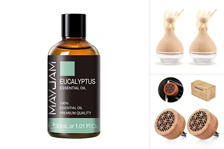 Detailed view of Best Pure Essential Oils For Car