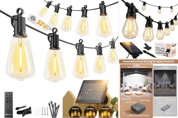 Detailed view of Best Solar Powered Lights