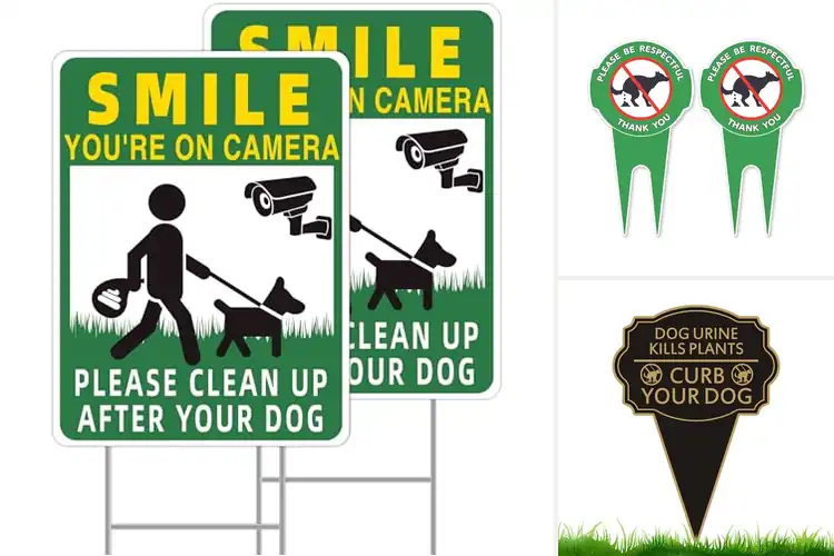 Detailed view of Best Yard Signs For Dog Owners